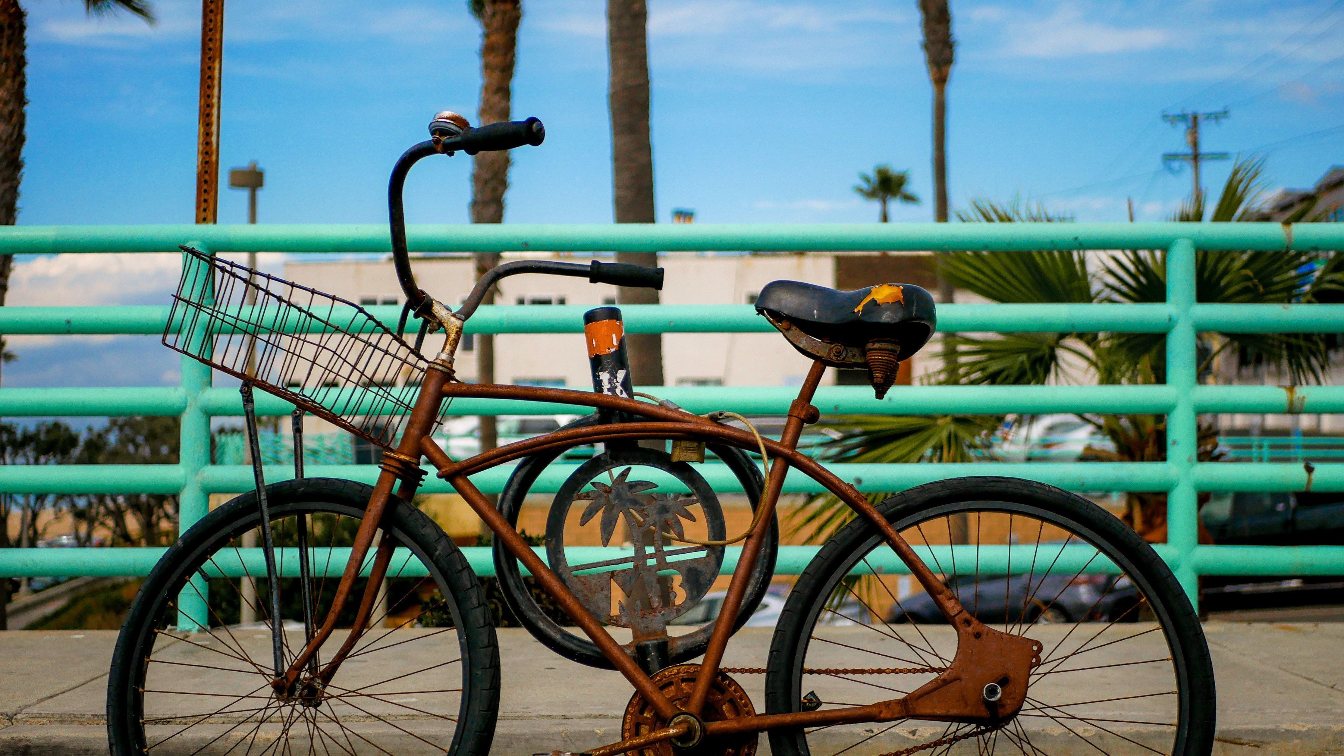 monk cruiser bike
